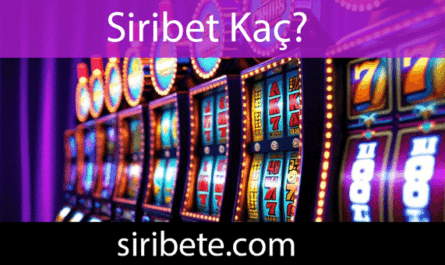 Siribet kaç sualini yanıtlandırarak aktifliğini sürdürmektedir.