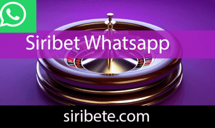 Siribet whatsapp yardım desteğiyle önde gelmektedir.